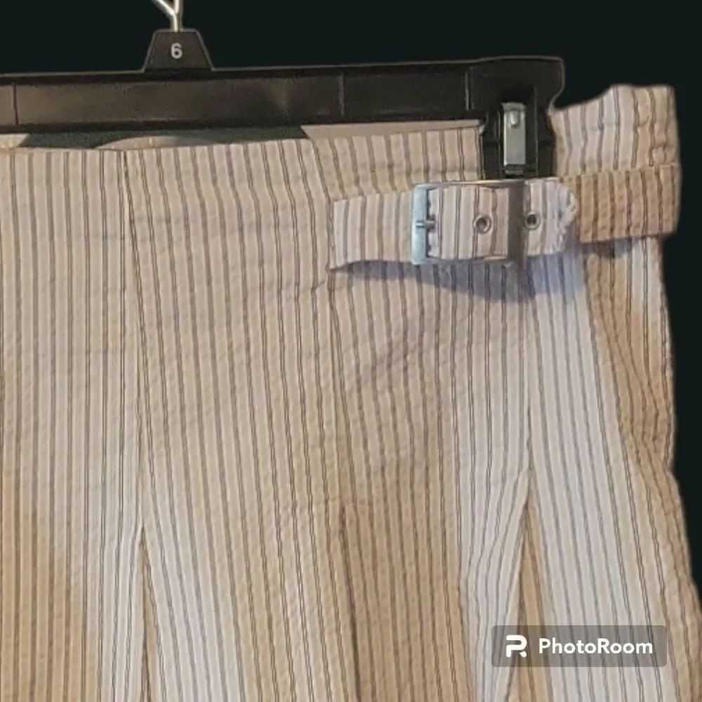 Kenar Pleated Pinstriped Cream Skirt Size 12